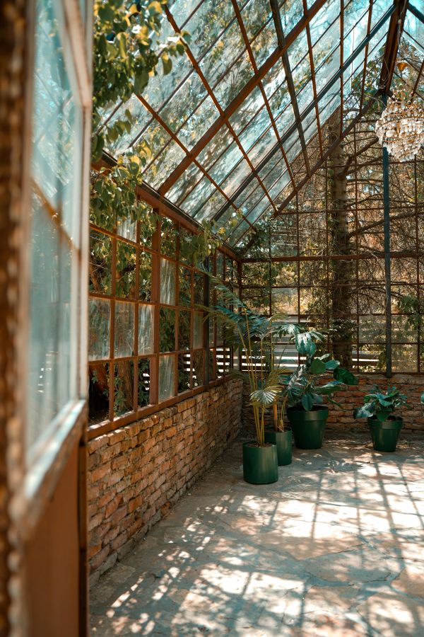 Serre de jardin : tout ce qu'il faut savoir pour bien choisir et profiter de votre espace de culture