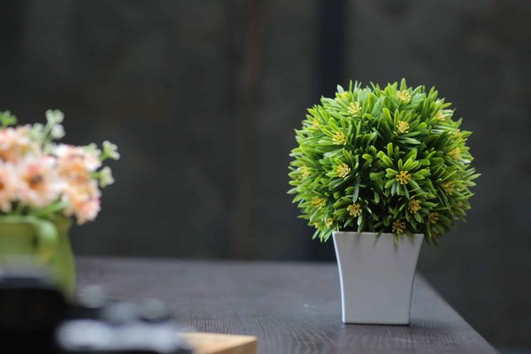 Pourquoi choisir des plantes artificielles pour décorer votre intérieur ?