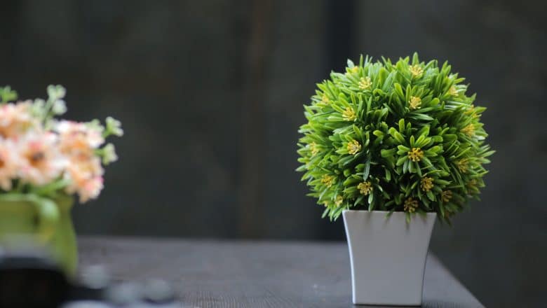 Pourquoi choisir des plantes artificielles pour décorer votre intérieur ?